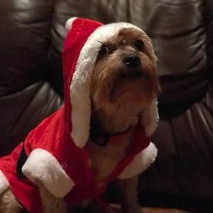 Meet your Posher, Glenda